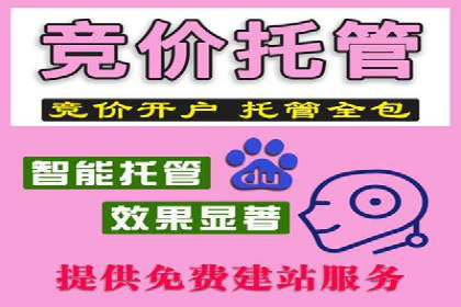 某公司信息流广告投放成功案例分析